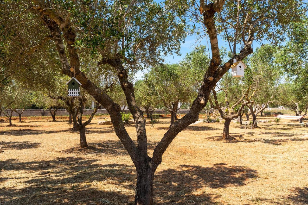 B&B L'Albero D'Oro Sava Εξωτερικό φωτογραφία